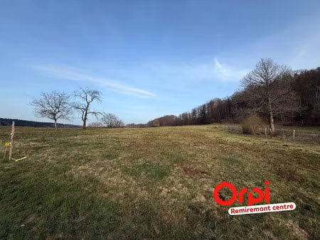 vente terrain à batir 3130 m² à le val-d'ajol (88340)  45 000 €