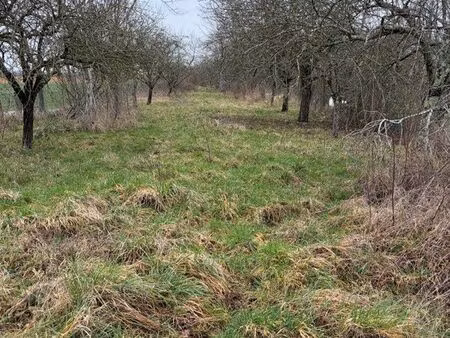 verger non constructible