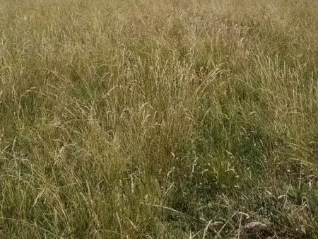 vente terrain 775 m² à joué-du-bois (61320)  6 200 €