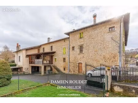 immeuble 500 m² cour et buis