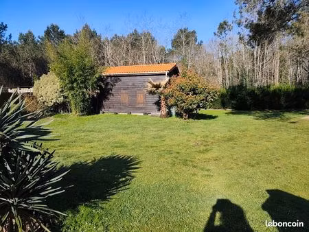 propriété entre forêt et océan ?