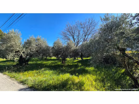 vente terrain 405 m² aubignan (84810)