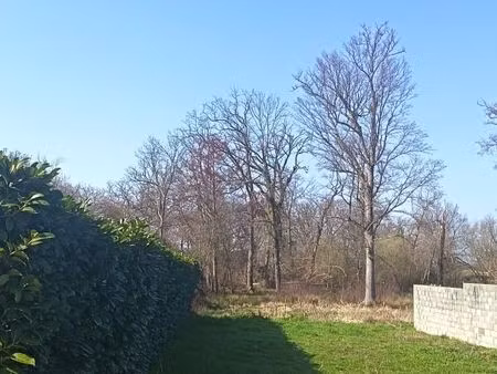 terrain 2 186 m² lanton