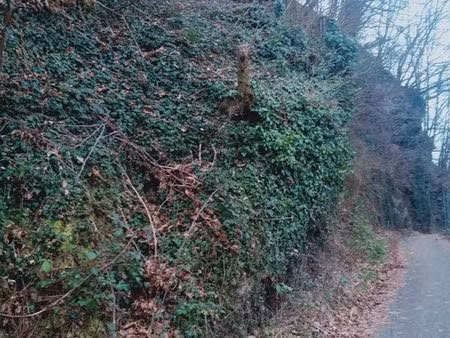 vends parcelles/terrains forestiers(73)