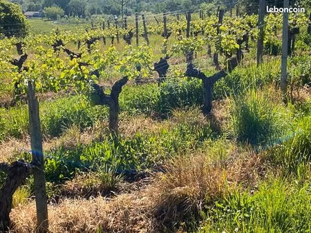 exploitation agricole saint magne de castillon