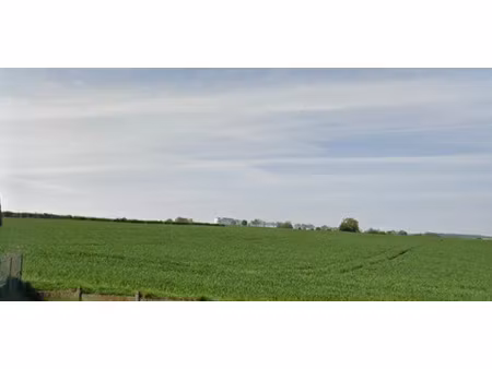 vente terrain 460 m² à calonne-ricouart (62470)  60 000 €