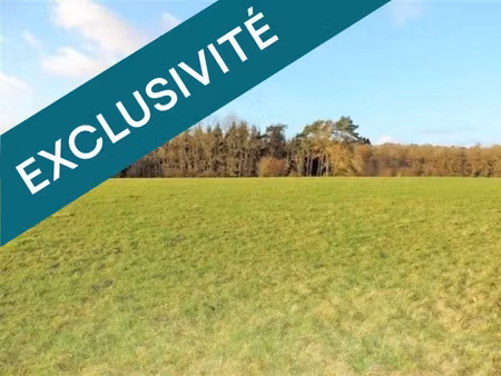 vente terrain 662 m² à saint-germain-du-seudre (17240)  49 650 €
