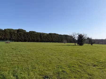 vente terrain 533 m² à saint-pardon-de-conques (33210)  53 300 €