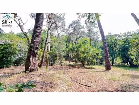 terrain 1 050 m² arcachon