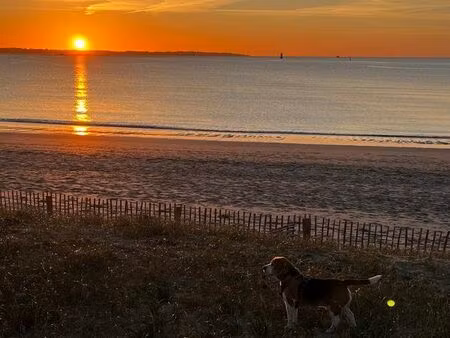 maison avec vue mer exceptionnelle – accès direct – 565 000 – presqu’île de gâvres
