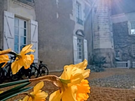 bureaux indépendants – nantes est / château de bois briand