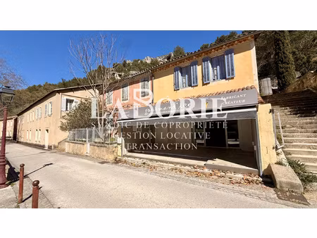 fontaine-de-vaucluse emplacement no1 au coeur d'un flux tou