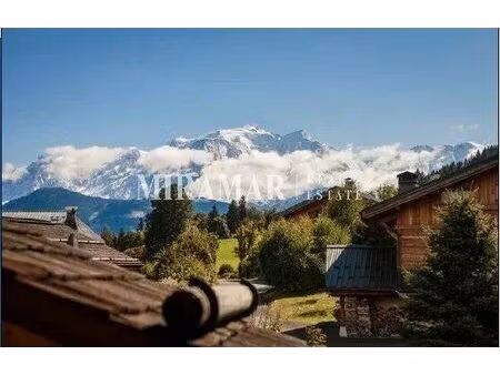 vente maison 14 pièces 802 m² sallanches (74700)