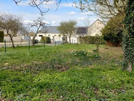 terrain constructible