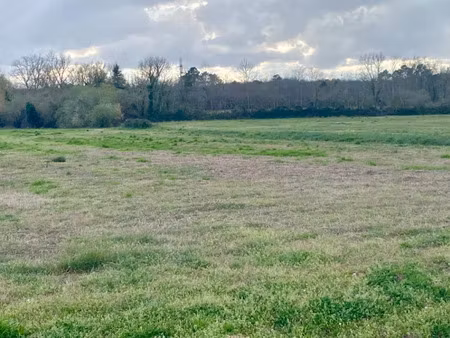 vente terrain 705 m² à podensac (33720)  85 000 €