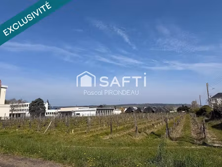 vente terrain 5989 m² à bourgueil (37140)  240 000 €