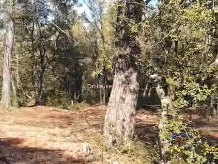 terrain constructible