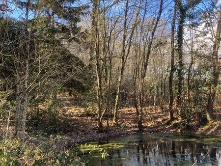 beau terrain de 3200m2