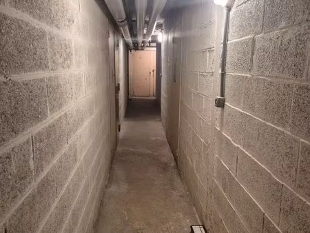 cave à louer – 75013 paris (rue de la reine blanche)