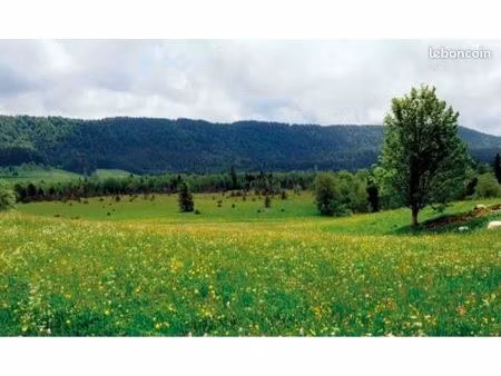 recherche prairie pature