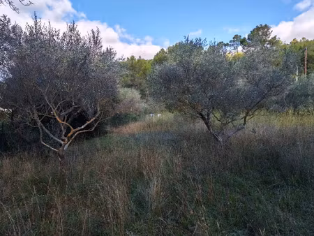 vente terrain 1005 m² à carnoules (83660)  135 000 €