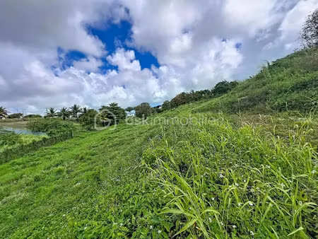 vente terrain 1103 m² à sainte anne (97180)  89 900 €