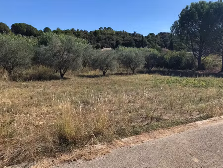 vente terrain 481 m² à saussines (34160)  179 000 €
