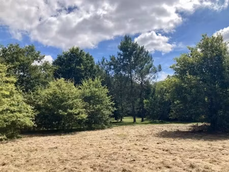 vente terrain 501 m² à le taillan-médoc (33320)  220 000 €