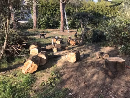 vente terrain 544 m² à saint-georges-d'orques (34680)  249 000 €