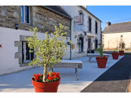 vente locaux professionnels à saint-aignan (56480)  438 700 €