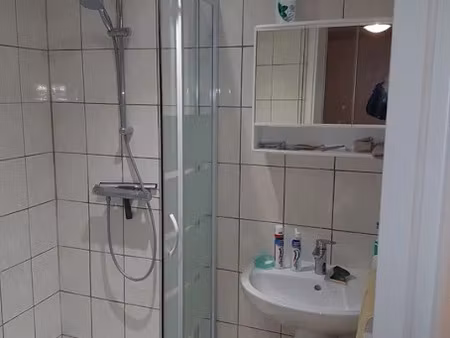 location meublée appartement 1 pièce 20 m² à huningue (68330)  480 €