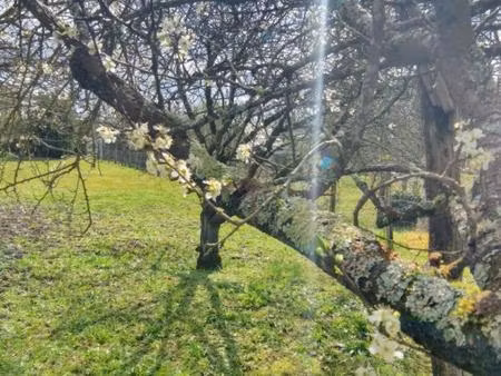 terrain constructible