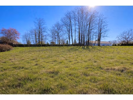 terrain à la belle étoile 1362 m2