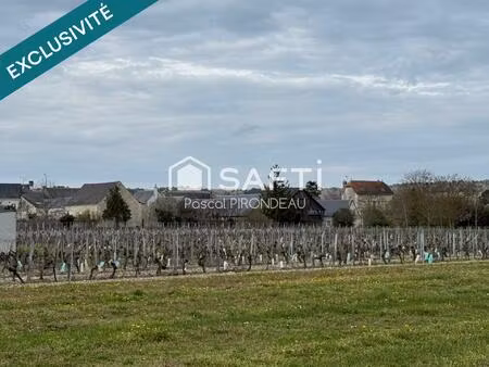 terrain à bâtir - bourgueil