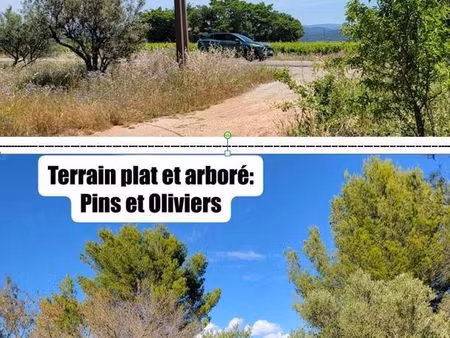 terrain agricole 6 300 m² uniquement pour projet agricole