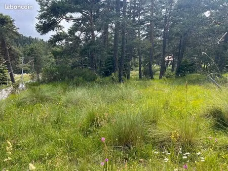 terrain 600m2 sans eau ni électricité à la moulière