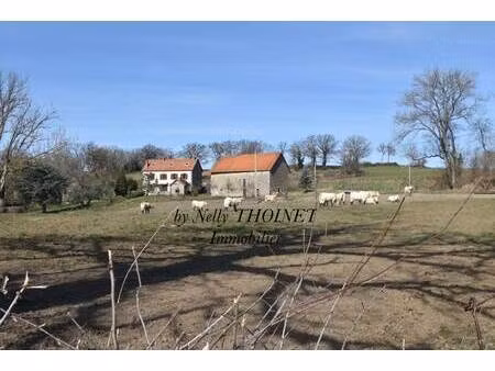 nelly thoinet - expertimo