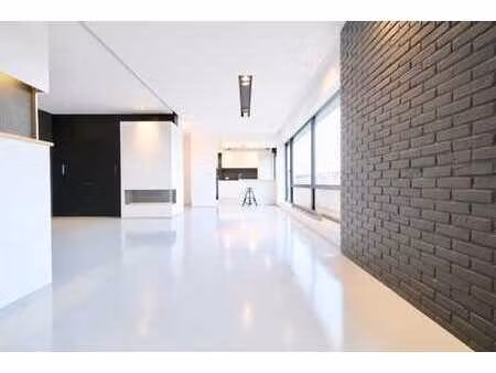 magnifique appartement style loft + box fermé