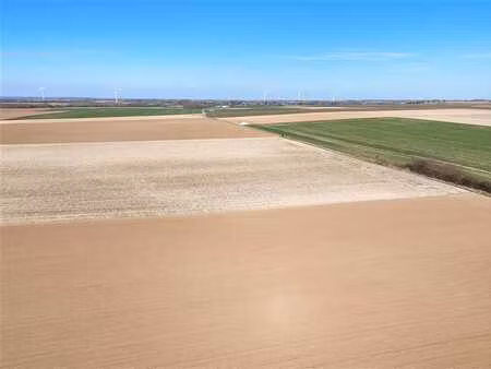 très beaux terrains agricoles