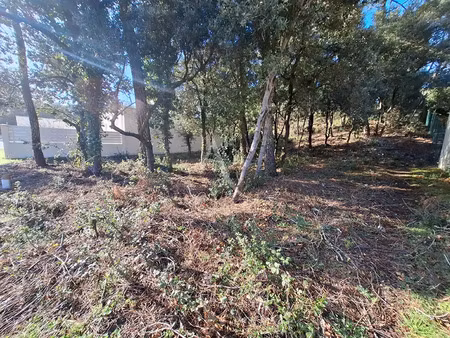 vente terrain à la tranche-sur-mer (85360) : à vendre / 794m² la tranche-sur-mer