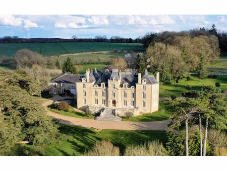 vente manoir 22 pièces