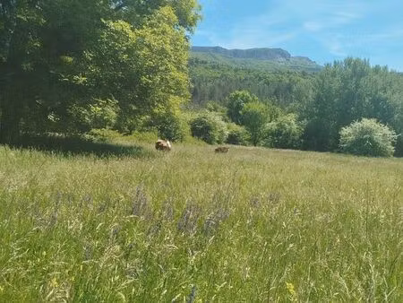 recherche terrain agricole