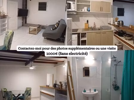 ? grand f3 climatisé avec terrasse – petit-bourg (guadeloupe)