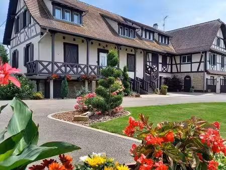 près de gerstheim  domaine de gîtes – fort potentiel touristique