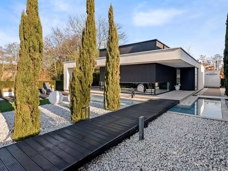 maison à vendre à kuringen € 985.000 (lm7ha) - hillewaere hasselt | zimmo