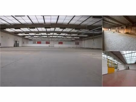 surface industrielle à louer à dellingstraat 31 malines (rbv48506)