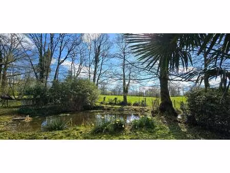 vente terrain à la roche-sur-yon zone est (85000) : à vendre / la roche-sur-yon zone est