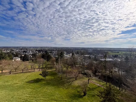 location appartement 1 pièce  23.32m²  montrichard val de cher