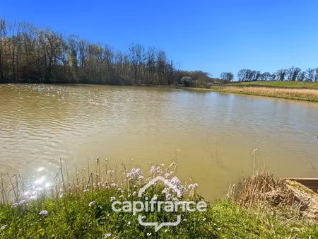 terrain à vendre savigny sur seille 8350m2 40 000€