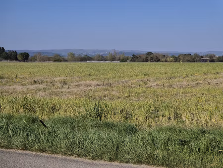 terres agricoles entre pexiora et villasavary